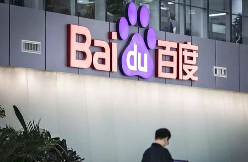 怎么搭建蜘蛛池